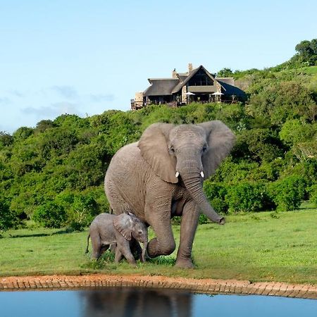 Hopewell Private Game Reserve Buyskloof Exteriér fotografie